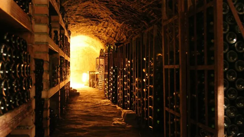 Rows of wine bottles in a vaulted brick cellar, illustrating research on wine collections and PPLI.